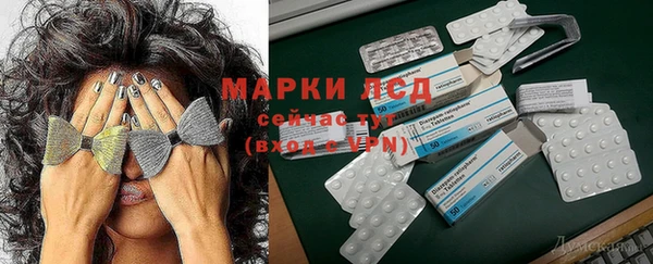 амф Кущёвская